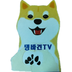 댕바견TV