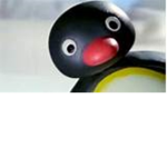 Pingu Group!!!