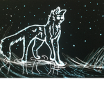 Warrior Cats Fan <3