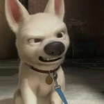 Lil Teddys :D
