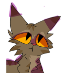 Kitten_Cats