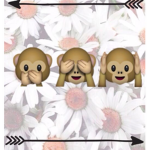 Kimberly Monkey Fanclub!