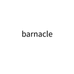 barnacle