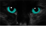 cat world
