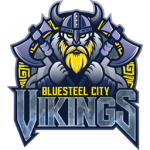 Bluesteel City Vikings Football™