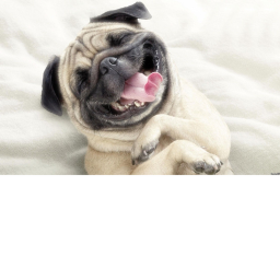 still chill