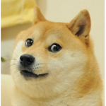 doge da hood cash inc