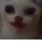 oklesgo