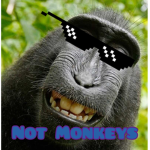 Not Monkeys