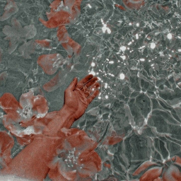 giz- mos