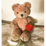 Teddy Rblx