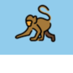 PRIMATE LEAGUE