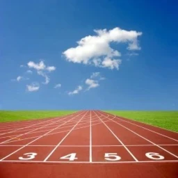 Roblox Track And Field ⭐️ icon