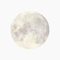🌙