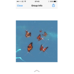 Butterfly squad games