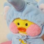 The Cozy Ducks