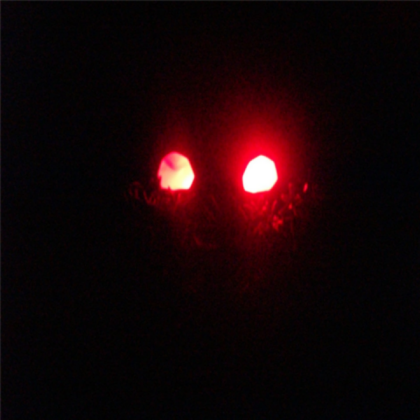 eyes Roblox decal
