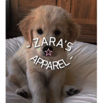 - Zara's Apparel-
