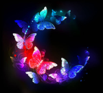 ~Following Flutterflies~