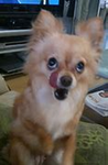 テンシ（富島）組の部屋【公式】