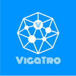 VigaTro's Development Team