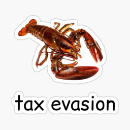 FUNNI STARTUP