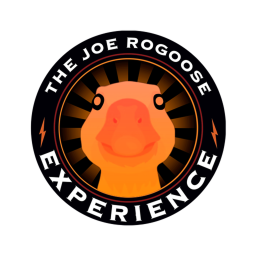 joe rogoose experience