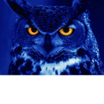 The official Blueowlyt group