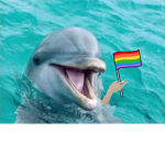 gae people