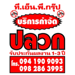 get rid of termites
