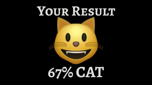 Cat Test 🐱