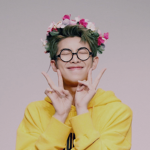 k-pop fan