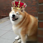 Dogetopia Kingdom