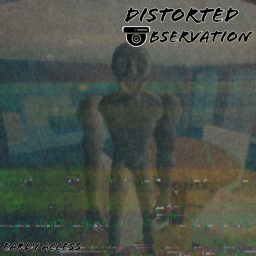 Distorted Observation (Early Access)
