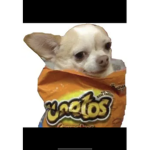 HELLO KIDS GET FREE CAND