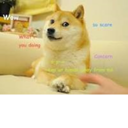 The Epic Doge Obby