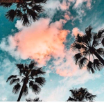 Cony_robloxxx aesthetic
