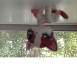 Cat Dreams Studio's Obby