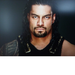 the big dog