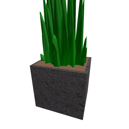 plant small