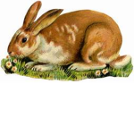 Bloxburg Bunnies!!!