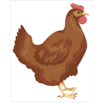 CHIKE GOOD ANIMAL