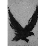 Take flight :)