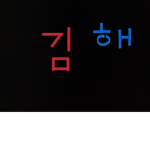 장유 부대
