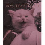 Beautylvs