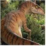 Velociraptor pack!!!
