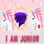 I am junior