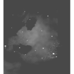 [A.Q.D.] Acordian Quarantine Division