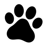Purrtastic Paws [WCUE]