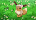 Eevee  wonder